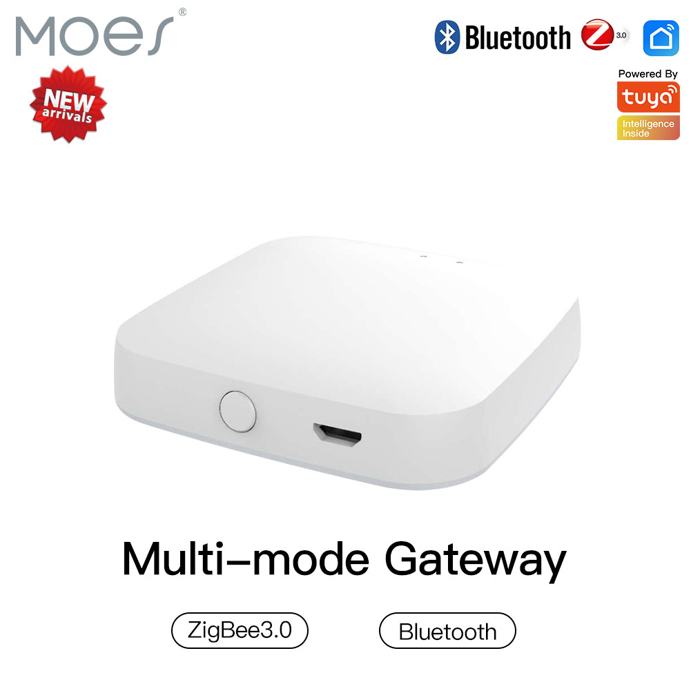 Multi-mode Smart Gateway ZigBe – Smart Home Website recenzja i cena