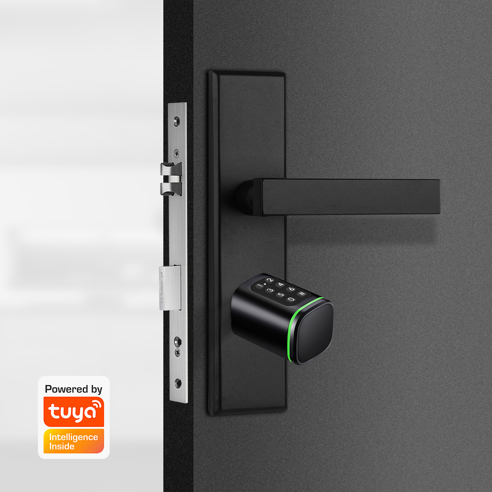 Inteligentny zamek cylindryczn – Smart Home Website recenzja i cena
